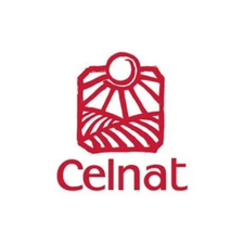 Celnat