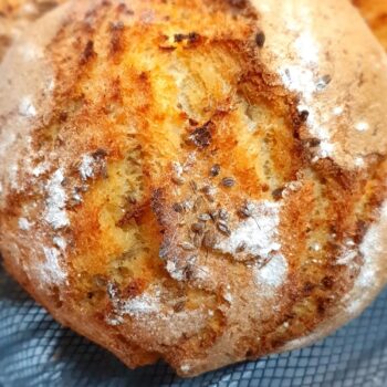 Pão de Milho e Erva Doce - Sem Glúten